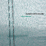 Thalia Zedek Band – The Boat Outside Your Window