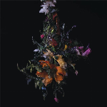 Big | Brave – Nature Morte (Lavender Color Vinyl)