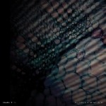 Duane Pitre – Feel Free: Live At Cafe Oto