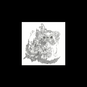 James Blackshaw – Summoning Suns