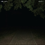 Autistic Daughters – Uneasy Flowers