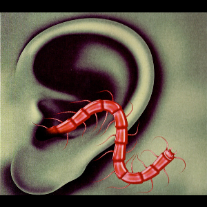 Thee Oh Sees – An Odd Entrances