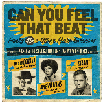 Various Artists – Can You Feel That Beat