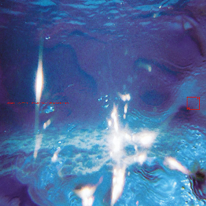 Fabiano Do Nascimento & E Ruscha V – Aquáticos