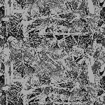 The Field Of Hay – Songs For Nine Ladies