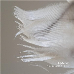 Rob Burger – Marching With Feathers