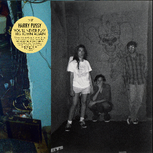 Harry Pussy (Bill Orcutt) – You'll Never Play This Town Again