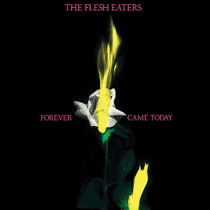 The Flesh Eaters – Forever Came Today