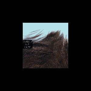 Subtle Lip Can – S/T