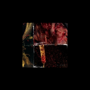 Fractional – Blood
