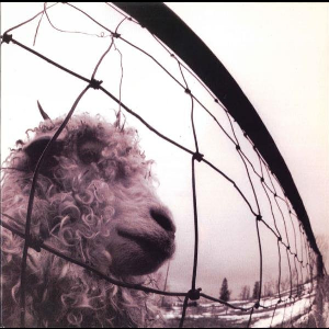 Pearl Jam – Vs