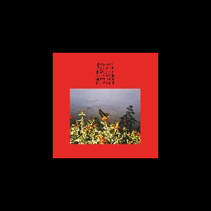 Bonnie Prince Billy – I Made A Place (Clrd. Vinyl)