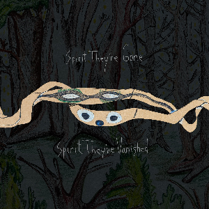 Animal Collective – Spirit They're Gone, Spirit They've Vanished