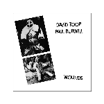 David Toop / Paul Burwell – Wounds