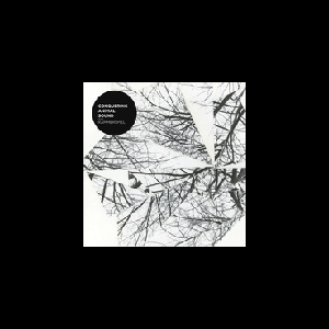 Conquering Animal Sound – Kammerspiel