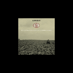 Sleepingdog – With Our Heads In The Clouds And Our Hearts In The Fields