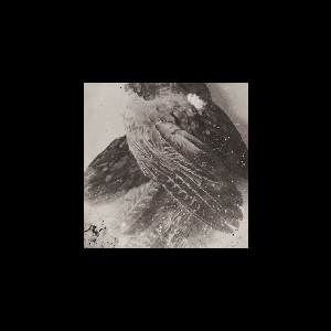 Glissando – The World Without Us (Ltd. 300)