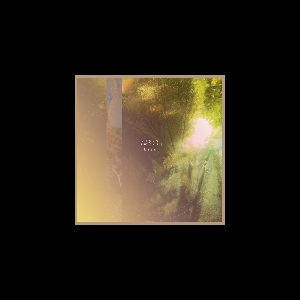 Brave Timbers – Hope
