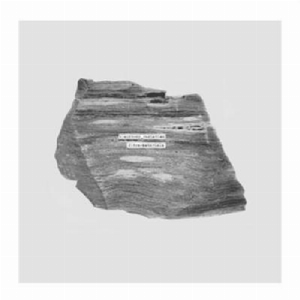 Blackbody_Radiation – Ultra-Materials