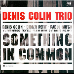 Denis Colin Trio (Petit - Cueco) – Something In Common