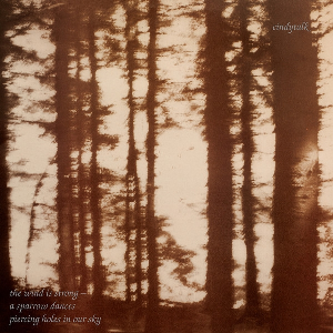 Cindytalk – The Wind Is Strong... (Marble Smoke Vinyl)