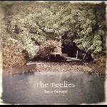 The Feelies – Here Before