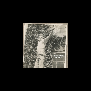 Arto Lindsay – Encyclopedia Of Arto