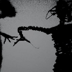 Twilight Singers – Dynamite Steps