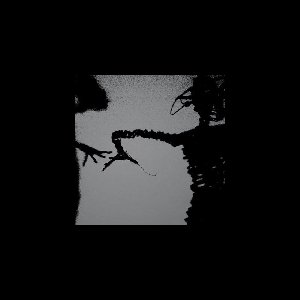 Twilight Singers – Dynamite Steps