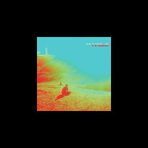 The Flaming Lips – The Terror
