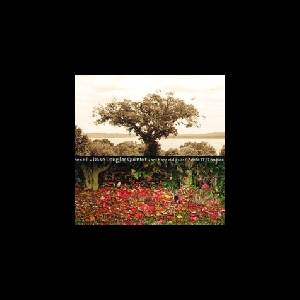 Dave Douglas Quintet (+ Aoife O'donovan) – Be Still