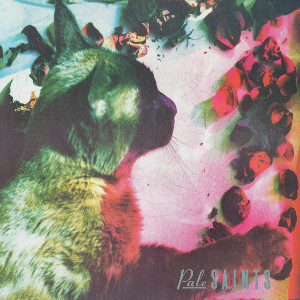 Pale Saints – The Comforts Of Madness
