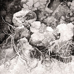 Toc – Will Never Play These Songs Again