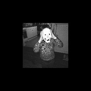 Trainfantome – Mature Immature (Fanzine)