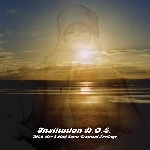 Institution D.o.l. – With Her I Had Some Tropical Feelings