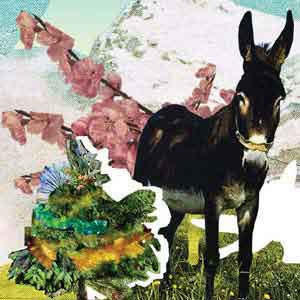 Juicy Panic – Edelweiss Müller