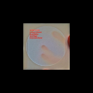 François Cotinaud - Barre Phillips - Henri Roger - Emmanuelle Somer – No Meat Inside