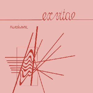 Ex Vitae – Mandarine