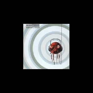 K.k. Null - Jon Rose (Kazuyuki Kishino) – Transgenic Nomad