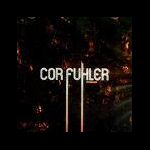 Cor Fuhler – Stengam