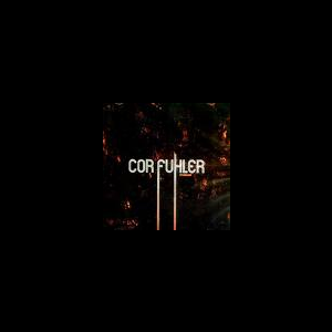 Cor Fuhler – Stengam