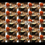 Cristián Alvear - Seijiro Murayama – Karoujite