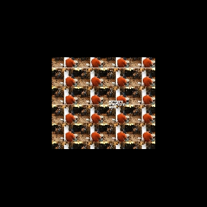 Cristián Alvear - Seijiro Murayama – Karoujite