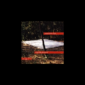 Malcolm Goldstein – Hardscrabble Songs