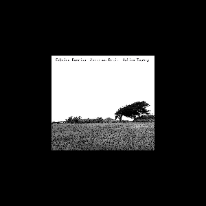 Fabrice Favriou - Jean-Luc Petit - Julien Touéry – S/T