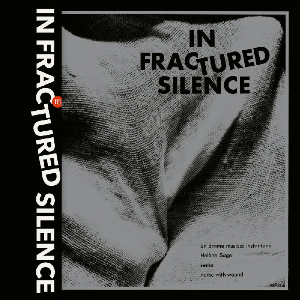 Un Drame Musical Instantané / Hélène Sage / Sema / Nurse With Wound – In Fractured Silence (Smoke Vinyl)