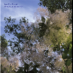 Jean-Marc Foussat – Ombres Onctueuses