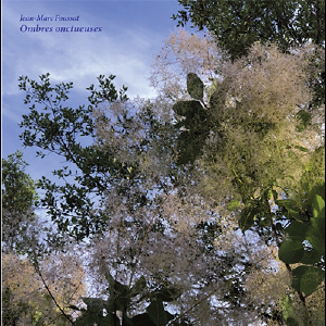 Jean-Marc Foussat – Ombres Onctueuses
