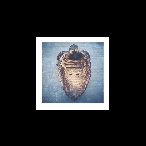Sergie Rezza – S/T