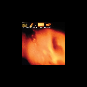 Statiqbloom / Zex Model – Release The Flesh